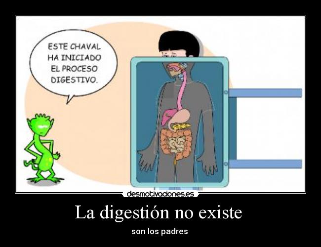 La digestión no existe - son los padres