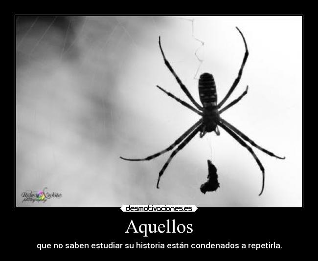 carteles  desmotivaciones