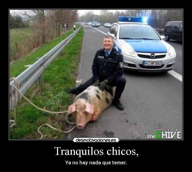 carteles tranquilos chicos desmotivaciones