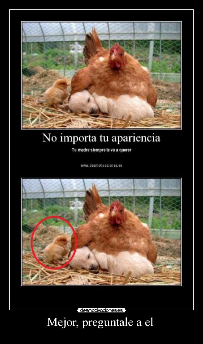 carteles mejor preguntale desmotivaciones