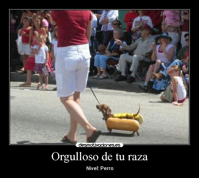 carteles humor desmotivaciones