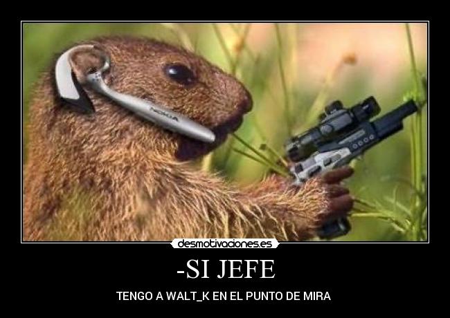 -SI JEFE -