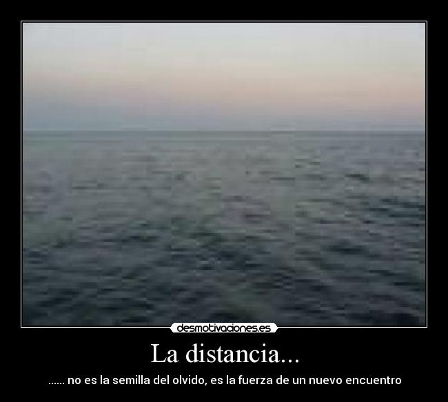 La distancia... - ...... no es la semilla del olvido, es la fuerza de un nuevo encuentro