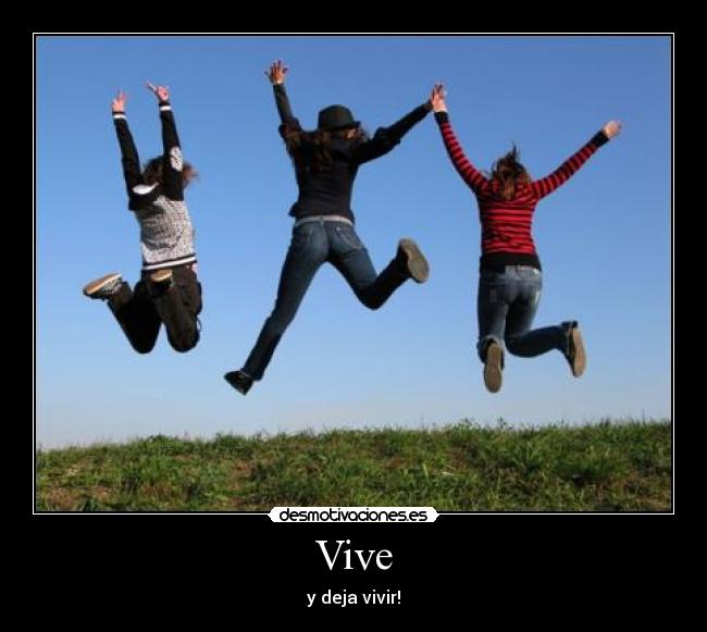 carteles vive desmotivaciones