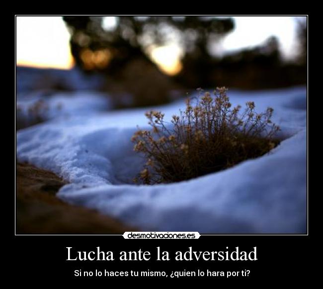 Lucha ante la adversidad - 