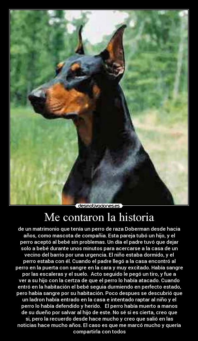 Me contaron la historia -