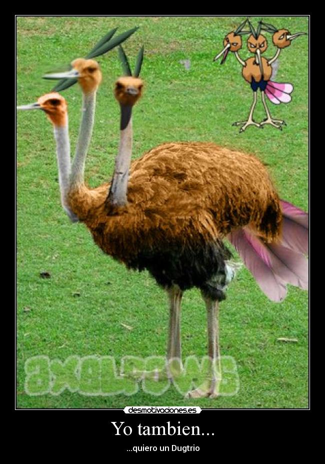 Yo tambien... - ...quiero un Dugtrio