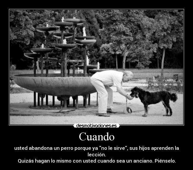 Cuando - usted abandona un perro porque ya no le sirve, sus hijos aprenden la lección.
Quizás hagan lo mismo con usted cuando sea un anciano. Piénselo.
