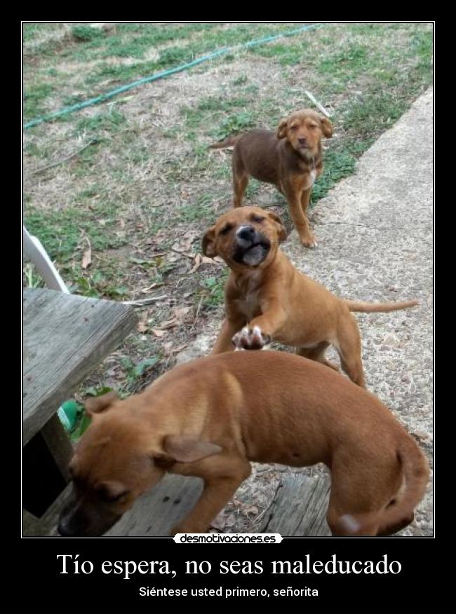 Tío espera, no seas maleducado - 