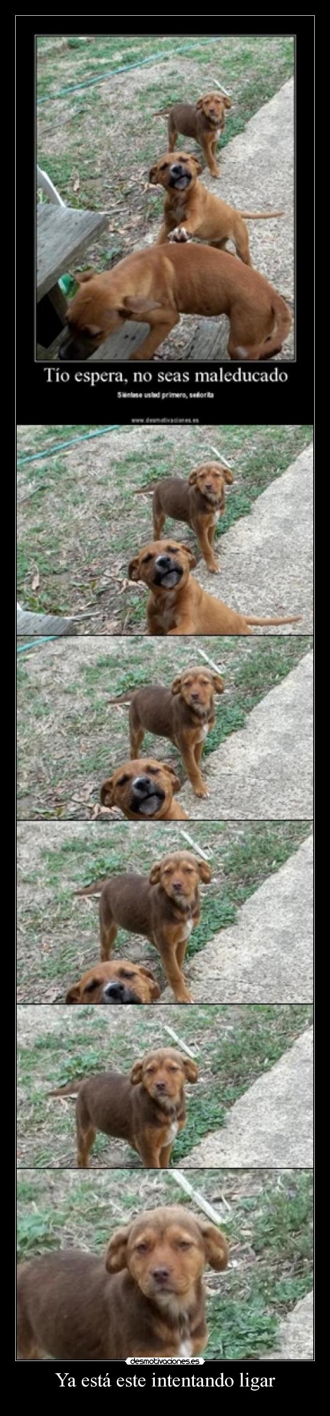 Ya está este intentando ligar - 