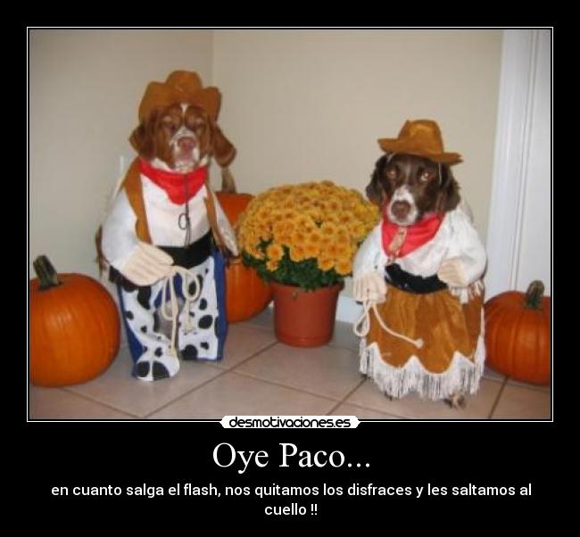 Oye Paco... -
