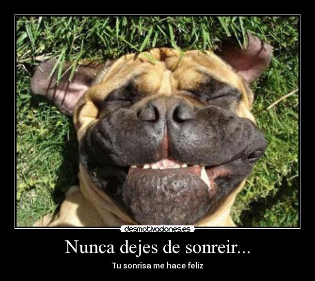 Nunca dejes de sonreir... - Tu sonrisa me hace feliz