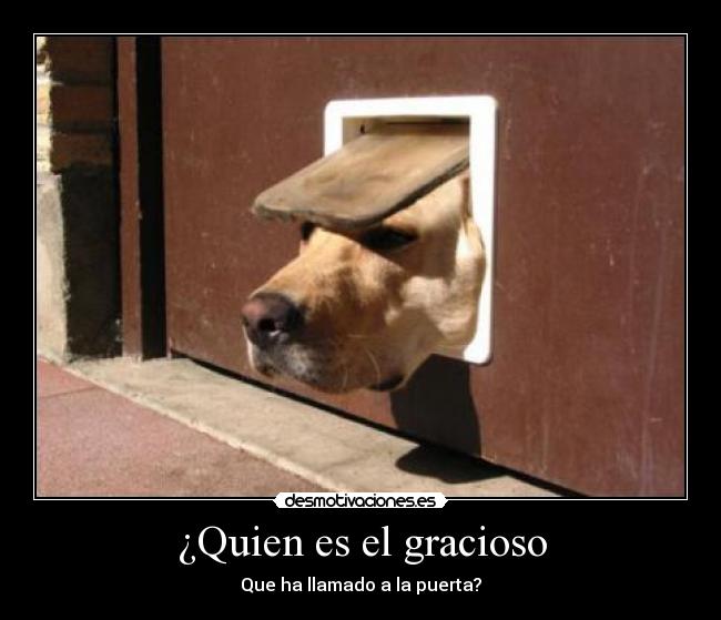 carteles perro desmotivaciones