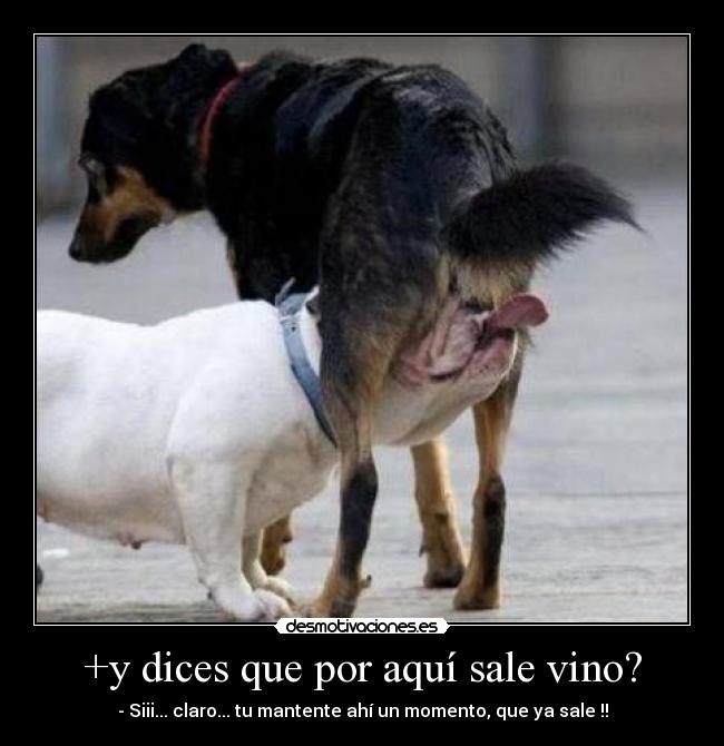 +y dices que por aquí sale vino? -