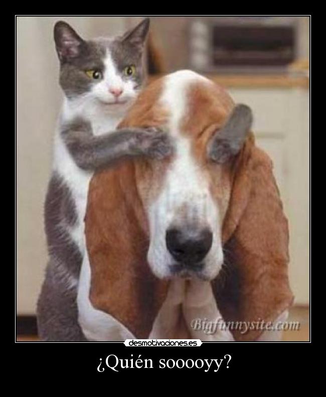 ¿Quién sooooyy? - 