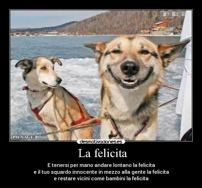 La felicita -
