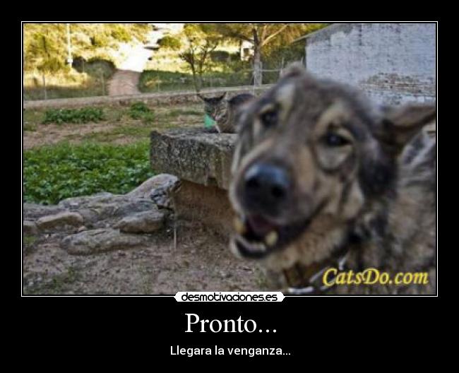 Pronto... - Llegara la venganza...