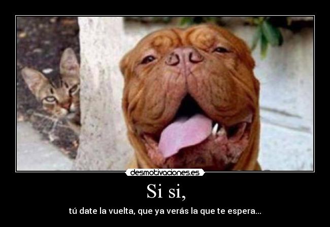 Si si, - tú date la vuelta, que ya verás la que te espera...