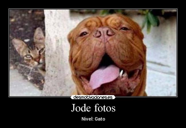 Jode fotos - 