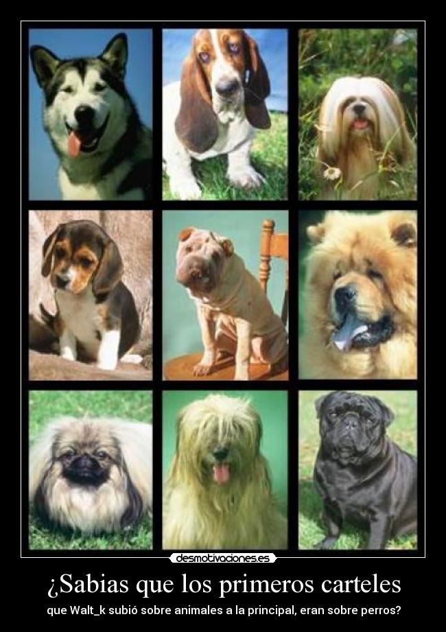 ¿Sabias que los primeros carteles -