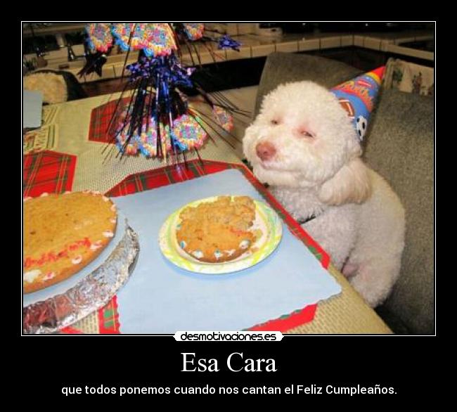Esa Cara - que todos ponemos cuando nos cantan el Feliz Cumpleaños.