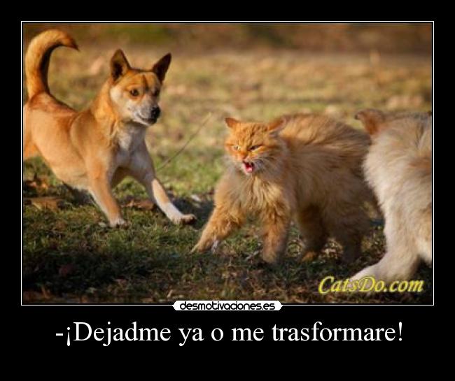 -¡Dejadme ya o me trasformare! -