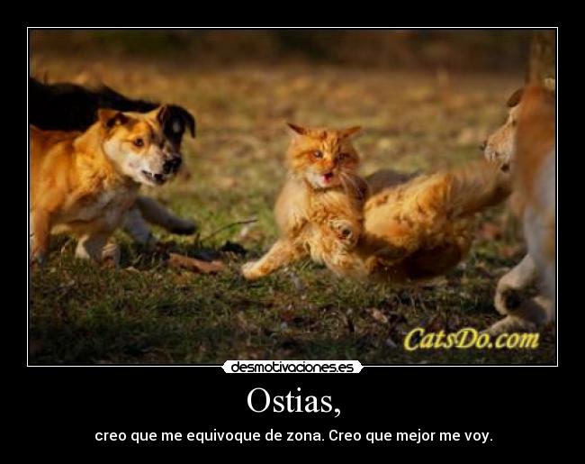 Ostias, - creo que me equivoque de zona. Creo que mejor me voy.