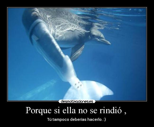 Porque si ella no se rindió , -