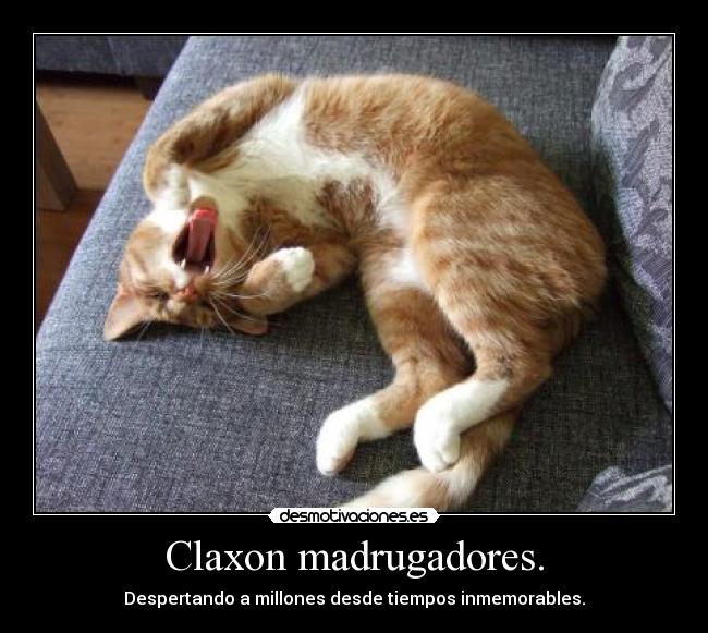 carteles  desmotivaciones