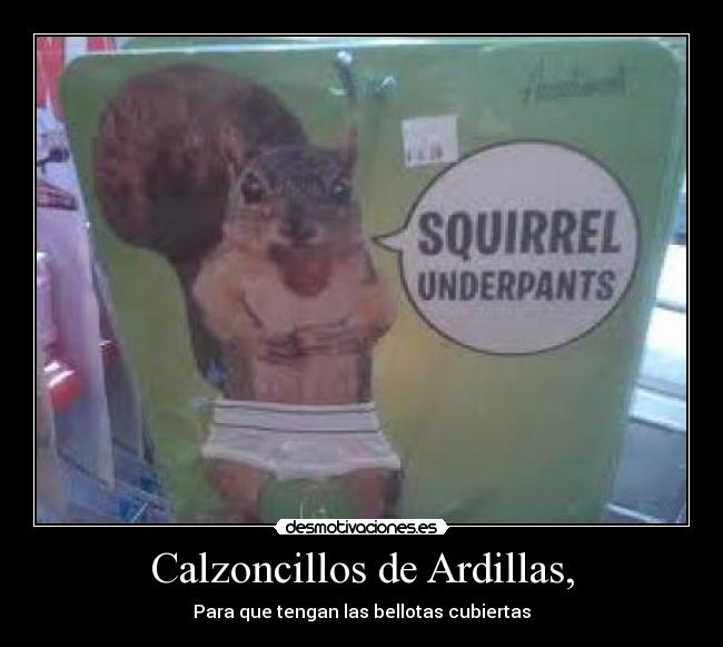 Calzoncillos de Ardillas, - Para que tengan las bellotas cubiertas