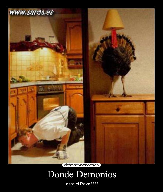 Donde Demonios -
