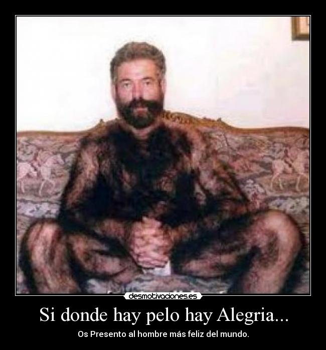 carteles alegria docanni metal desmotivaciones