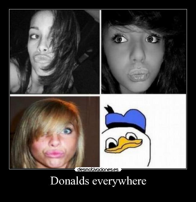 Donalds everywhere -