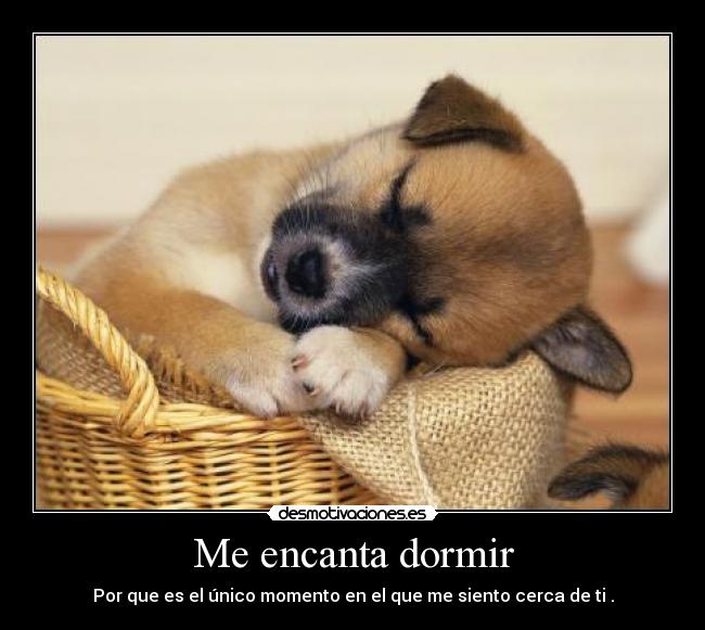 Me encanta dormir - Por que es el único momento en el que me siento cerca de ti .