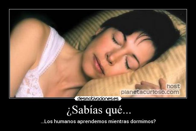¿Sabías qué... - ...Los humanos aprendemos mientras dormimos?