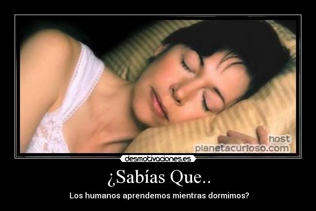 carteles sabias que los gumanos aprendemos mientras dormimos desmotivaciones