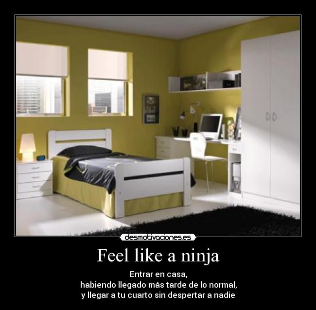 Feel like a ninja - 