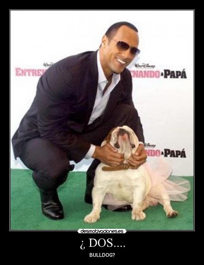 carteles humor desmotivaciones