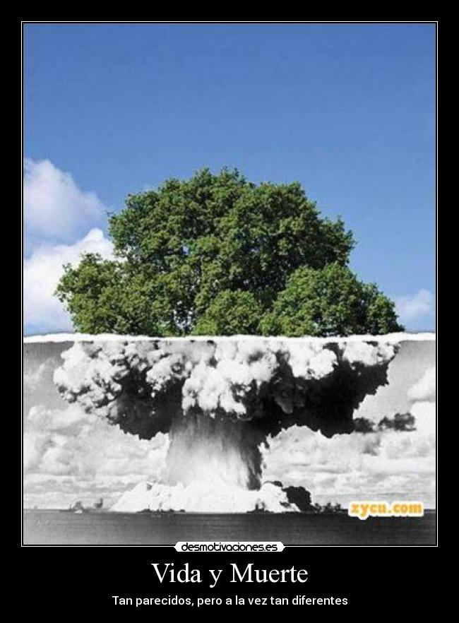 Vida y Muerte -
