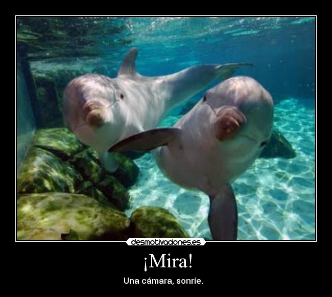 ¡Mira! - 