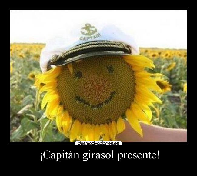 ¡Capitán girasol presente! - 