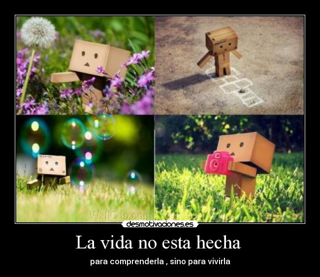 carteles vida vida esta hecha para comprenderla sino para vivirla danbo life live japon desmotivaciones