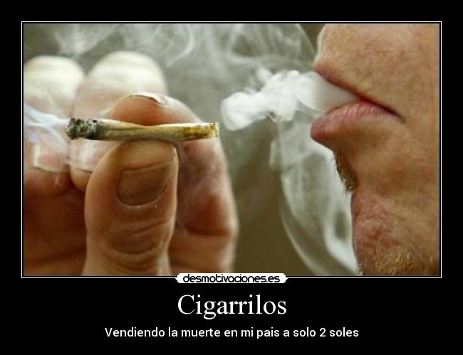 Cigarrilos - 