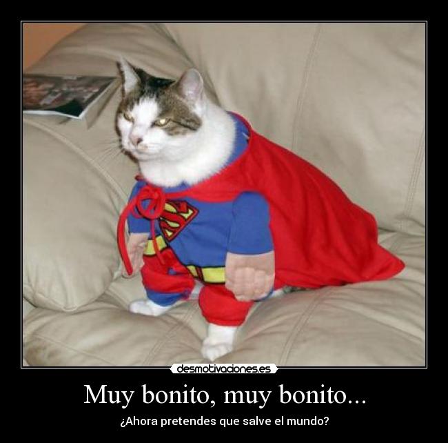 carteles chuck norris principal walt_k desmotivaciones gatossuperman humor amor memes gracioso desmotivaciones