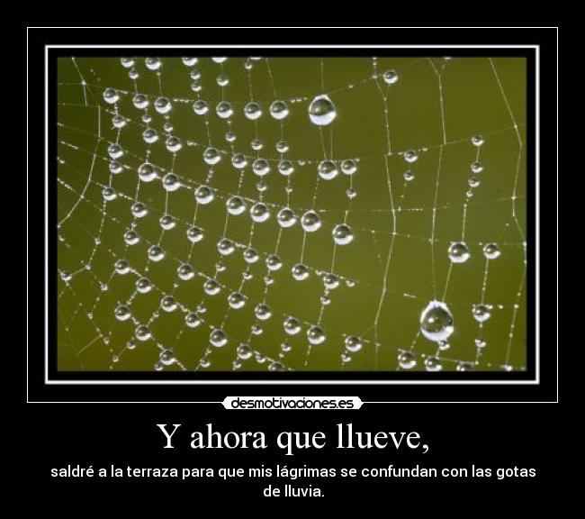 Y ahora que llueve, - 