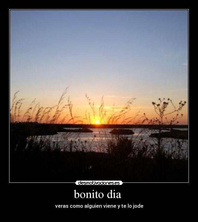 bonito dia  - 