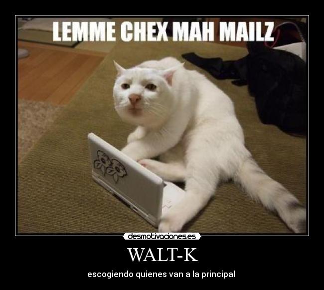 WALT-K -