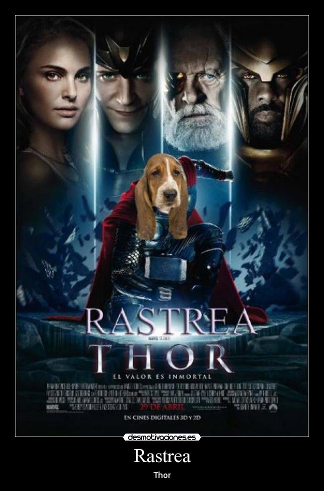 Rastrea - Thor