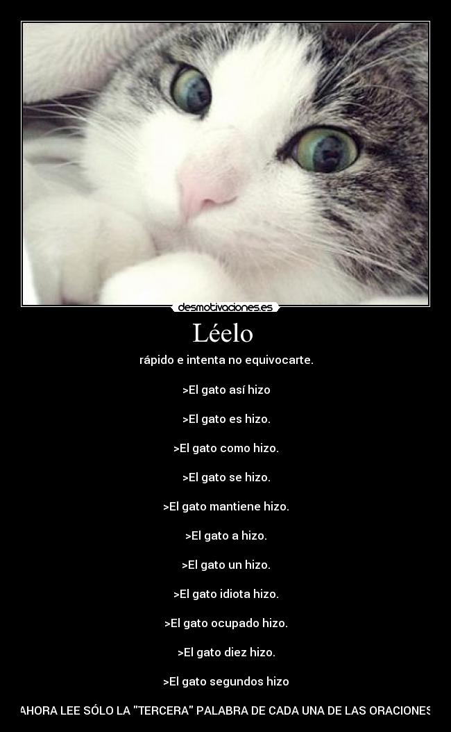 Léelo -