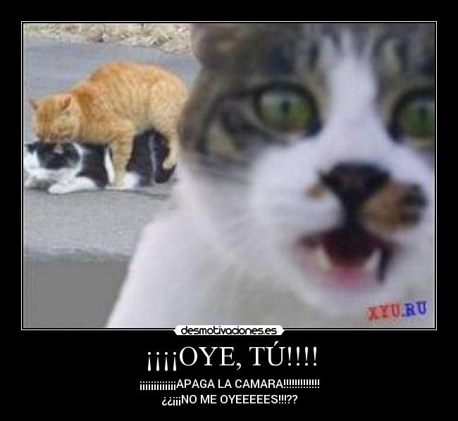 ¡¡¡¡OYE, TÚ!!!! -